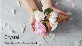  Presentation with pink birthday - Audience pleasing slide deck consisting of concept of congratulations for birthday backdrop and a light gray colored foreground