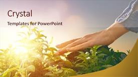  Presentation with earth day - Amazing presentation having concept of earth day person backdrop and a lemonade colored foreground