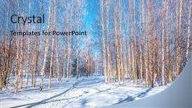  Presentation with ecotourism - Slides with concept of extreme and ecotourism background and a light blue colored foreground