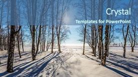  Presentation with forest road - Slides enhanced with concept of extreme and ecotourism background and a ocean colored foreground