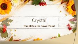  Presentation with harvest - Presentation theme enhanced with concept-of-fall-harvest background and a cream colored foreground