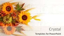  Presentation with harvest - Cool new presentation design with concept-of-fall-harvest backdrop and a lemonade colored foreground