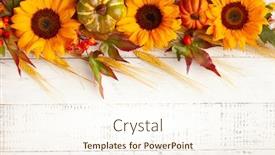  Presentation with harvest - PPT theme enhanced with concept-of-fall-harvest background and a cream colored foreground