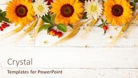  Presentation with harvest - PPT layouts with concept-of-fall-harvest background and a cream colored foreground