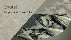  Presentation with concept - Presentation theme having concept-of-freshness-illustrated background and a light gray colored foreground