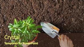  Presentation with green development - Audience pleasing PPT layouts consisting of concept of generation and development backdrop and a tawny brown colored foreground