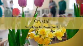  Presentation with kindergarten graduation - PPT theme having concept-of-graduation-in-kindergarten background and a yellow colored foreground