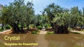  Presentation with gethsemane - Presentation design enhanced with concept of historical religious background and a tawny brown colored foreground