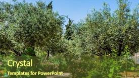  Presentation with gethsemane - Slide deck with concept of historical religious background and a tawny brown colored foreground