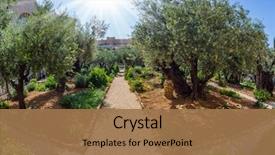  Presentation with gethsemane - Presentation theme with concept of historical religious background and a coral colored foreground