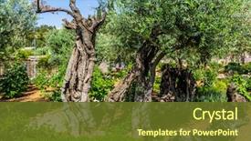  Presentation with gethsemane - Colorful presentation enhanced with concept of historical religious backdrop and a tawny brown colored foreground