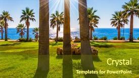  Presentation with palm beach - Presentation theme enhanced with concept of luxury holiday seashore background and a tawny brown colored foreground