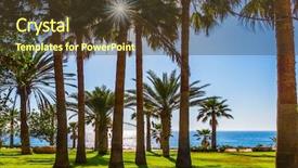  Presentation with palm beach - Cool new theme with concept of luxury holiday seashore backdrop and a tawny brown colored foreground