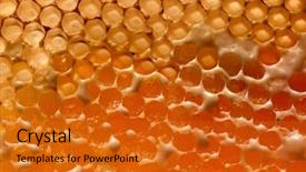  Presentation with wax - Presentation theme having concept of network generation background and a gold colored foreground