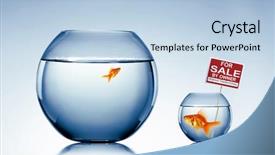  Presentation with fish aquarium - Slides with concept of real estate background and a light blue colored foreground