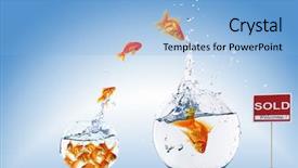  Presentation with fish aquarium - Audience pleasing slides consisting of concept of real estate backdrop and a light blue colored foreground