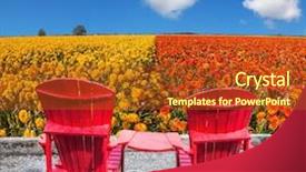  Presentation with eco plastic - Audience pleasing PPT theme consisting of concept of recreation and eco-tourism two joined red plastic chairs next to fields of garden buttercups backdrop and a tawny brown colored foreground