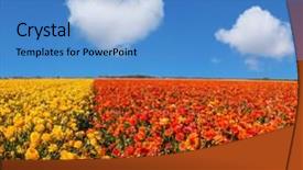  Presentation with rural tourism concept - Slide set enhanced with clouds over the floral splendor background and a teal colored foreground