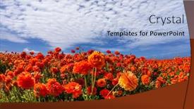  Presentation with rural tourism concept - Colorful presentation design enhanced with concept-of-rural-tourism backdrop and a light blue colored foreground