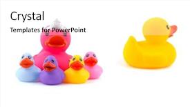 Presentation with rubber duck - PPT theme enhanced with concept of separation or divorce background and a white colored foreground