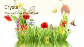  Presentation with spring water - Amazing theme having concept-of-spring-with-meadow backdrop and a cream colored foreground