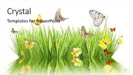  Presentation with spring water - Beautiful slides featuring concept of spring with meadow backdrop and a  colored foreground