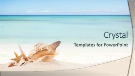  Presentation with shells - Beautiful slides featuring concept of summer beach backdrop and a  colored foreground