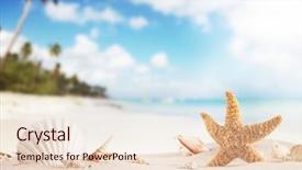  Presentation with starfish - Colorful PPT layouts enhanced with concept of summer beach backdrop and a lemonade colored foreground