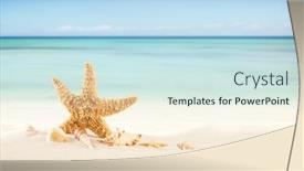  Presentation with shells - Slide deck featuring summer beach with starfish shells background and a sky blue colored foreground