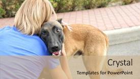  Presentation with homeless - Colorful PPT theme enhanced with concept of volunteering and animal backdrop and a coral colored foreground