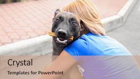  Presentation with homeless - Audience pleasing slide deck consisting of concept of volunteering and animal backdrop and a coral colored foreground