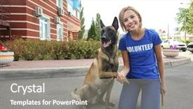  Presentation with homeless - PPT theme having concept of volunteering and animal background and a gray colored foreground