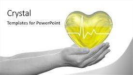  Presentation with heart pulse - Colorful PPT theme enhanced with concept or conceptual 3d yellow human heart sign or symbol held in human man or woman hands isolated on white background metaphor to health care medicine protect medical pulse healthcare cardiology backdrop and a white colored foreground