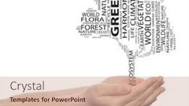  Presentation with black white tree - 