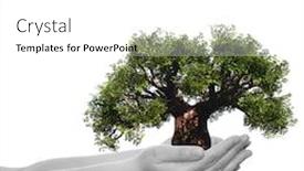  Presentation with energy conservation - PPT theme with concept or conceptual human man or woman hand holding green summer tree isolated on white ecology background metaphor to environment growth eco protection conservation organic bio love energy background and a white colored foreground