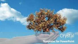  Presentation with environment protection - Colorful PPT layouts enhanced with holding a brown autumn tree backdrop and a light blue colored foreground