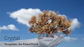  Presentation with human growth - Colorful presentation enhanced with concept or conceptual human man or woman hand holding a brown autumn tree and blue sky with clouds ecology background for environment growth eco protection conservation organic bio love energy backdrop and a teal colored foreground