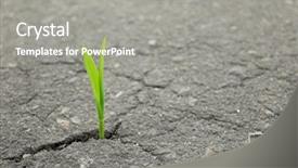  Presentation with green nature - Cool new PPT layouts with concept save nature and environment backdrop and a gray colored foreground