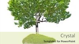  Presentation with green tree - Amazing presentation theme having concept-with-modern-led-lamp backdrop and a soft green colored foreground