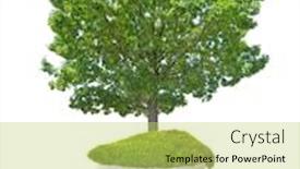  Presentation with green tree - PPT theme enhanced with concept-with-modern-led-lamp background and a yellow colored foreground