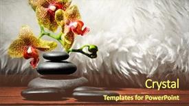  Presentation with zen stones - Audience pleasing theme consisting of concept with orchid and zen backdrop and a  colored foreground