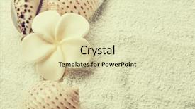  Presentation with spa concept - Presentation design with concept with shells and flowers background and a  colored foreground