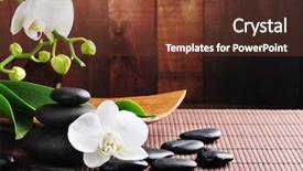  Presentation with spa concept - Audience pleasing PPT theme consisting of concept zen stones and orchid backdrop and a tawny brown colored foreground