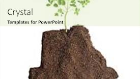  Presentation with conceptual recycling - PPT layouts with conceptual botswana map recycling or agriculture growing a tree background and a soft green colored foreground