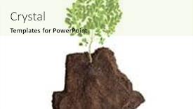  Presentation with conceptual recycling - Beautiful slide deck featuring conceptual botswana map recycling or agriculture growing a tree backdrop and a soft green colored foreground