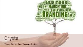  Presentation with green tree - Beautiful slide set featuring conceptual-green-tree-media-word backdrop and a coral colored foreground