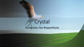  Presentation with world - Presentation having conceptual image if a bird background and a light blue colored foreground