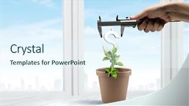  Presentation with green ivy plant hedera helix - PPT theme with conceptual image of green plant background and a  colored foreground