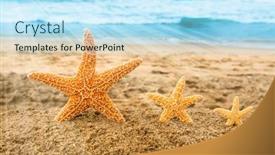  Presentation with black and gold holiday - Slide set consisting of conceptual-image-of-three-golden background and a arctic colored foreground