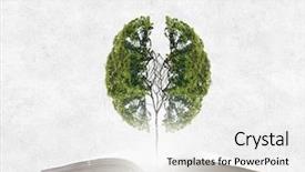  Presentation with growing tree - Amazing slide set having conceptual image with green tree backdrop and a white colored foreground